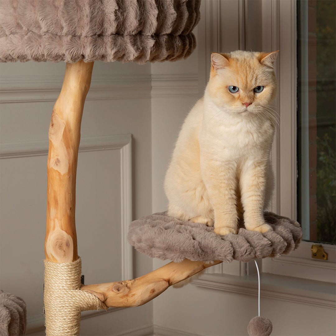 Pyrenees Cat Scratching Tree - Taupe Cat Tree Scruffs®
