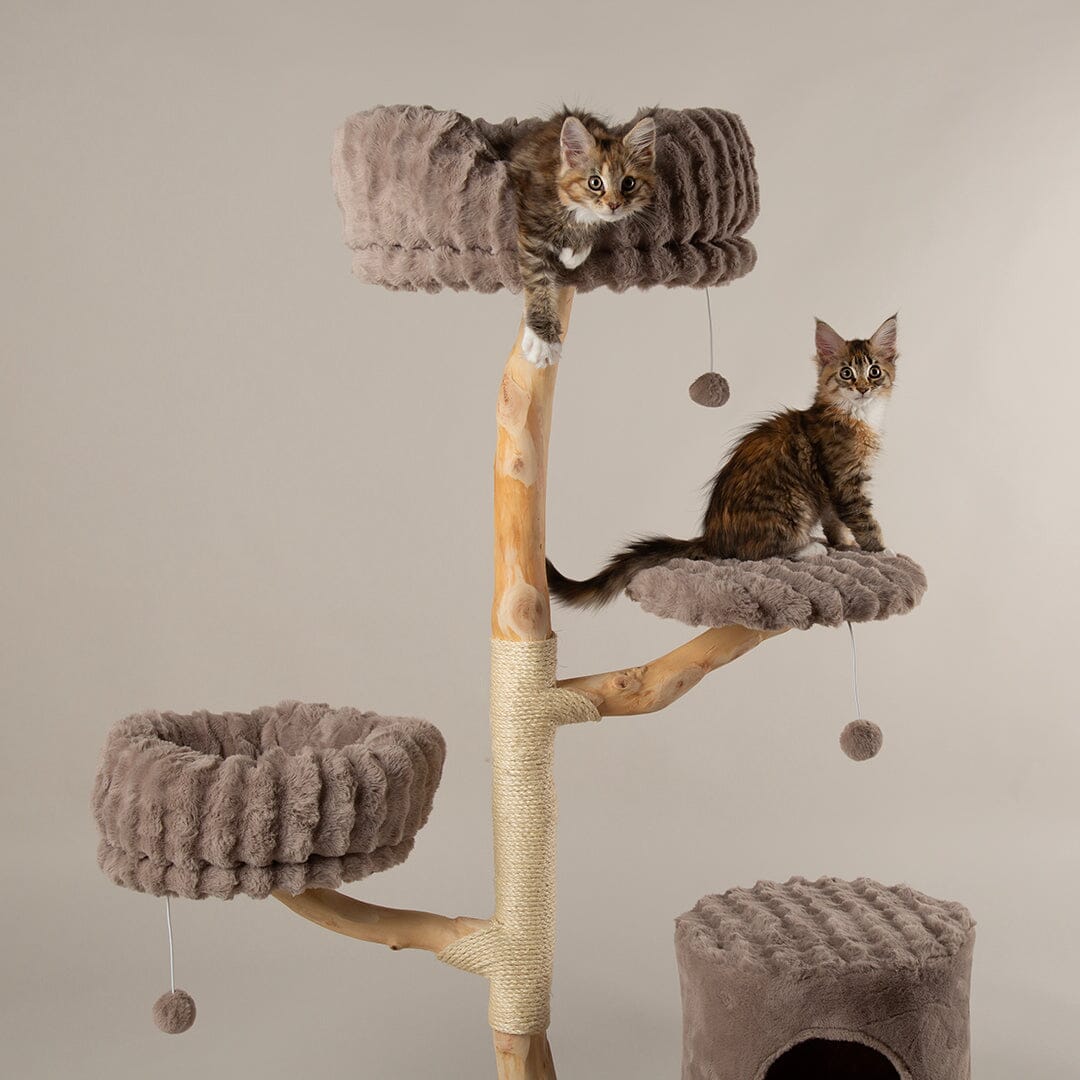 Pyrenees Cat Scratching Tree - Taupe Cat Tree Scruffs®