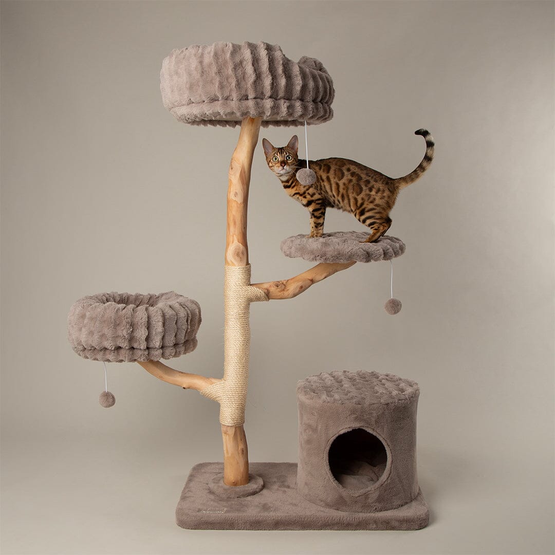 Alpine Pyrenees Cat Tree - Taupe Cat Tree Scruffs®