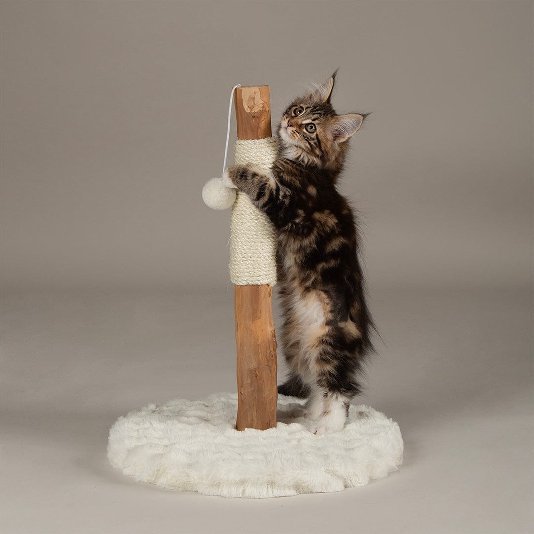 Andes 'My First' Cat Scratching Tree - Cream Cat Tree petslovescruffs