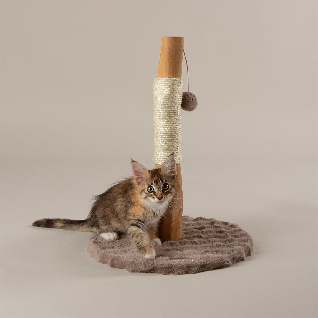 Andes 'My First' Cat Scratching Tree - Taupe Cat Tree petslovescruffs