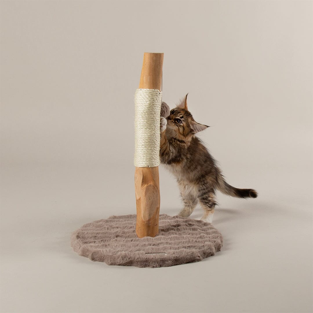 Andes 'My First' Cat Scratching Tree - Taupe Cat Tree petslovescruffs