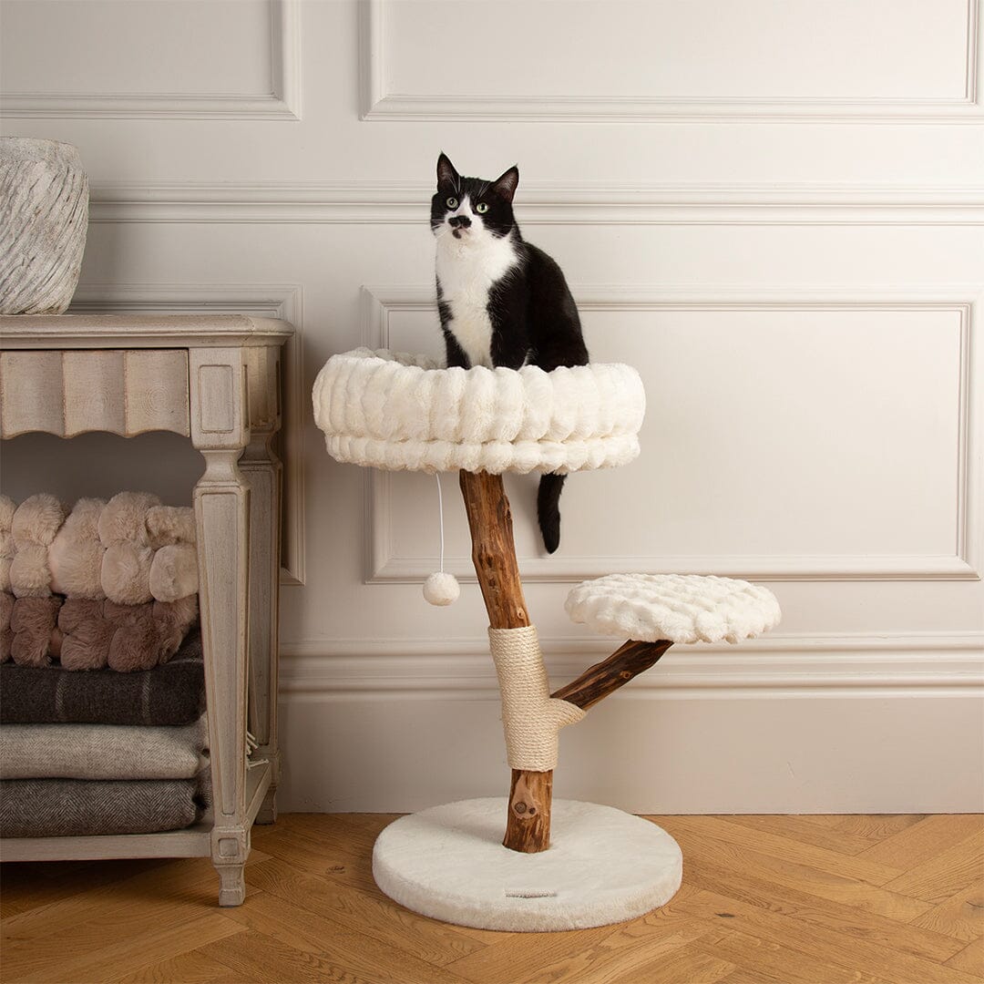 Atlas Cat Scratching Tree - Cream Cat Tree petslovescruffs
