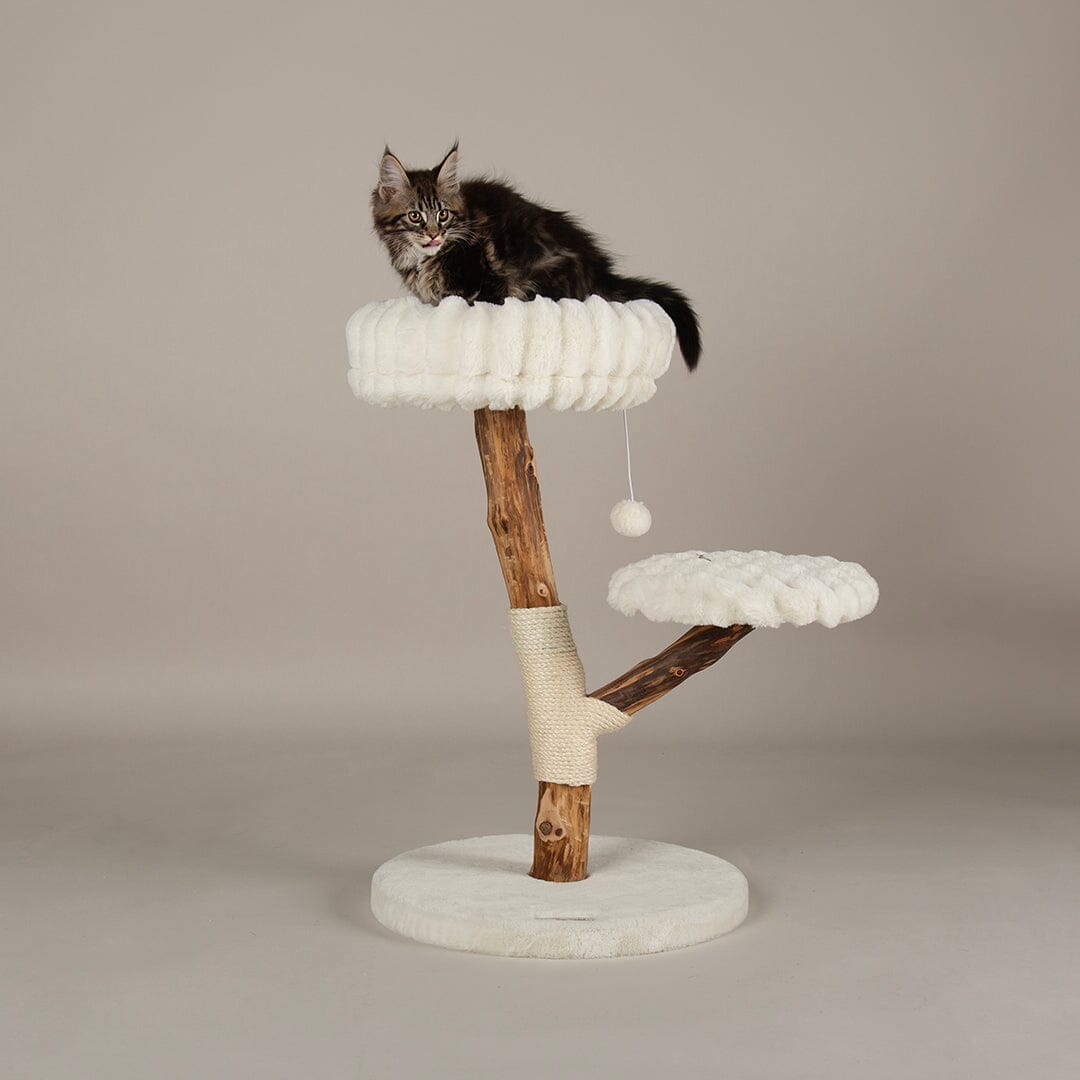 Atlas Cat Scratching Tree - Cream Cat Tree petslovescruffs