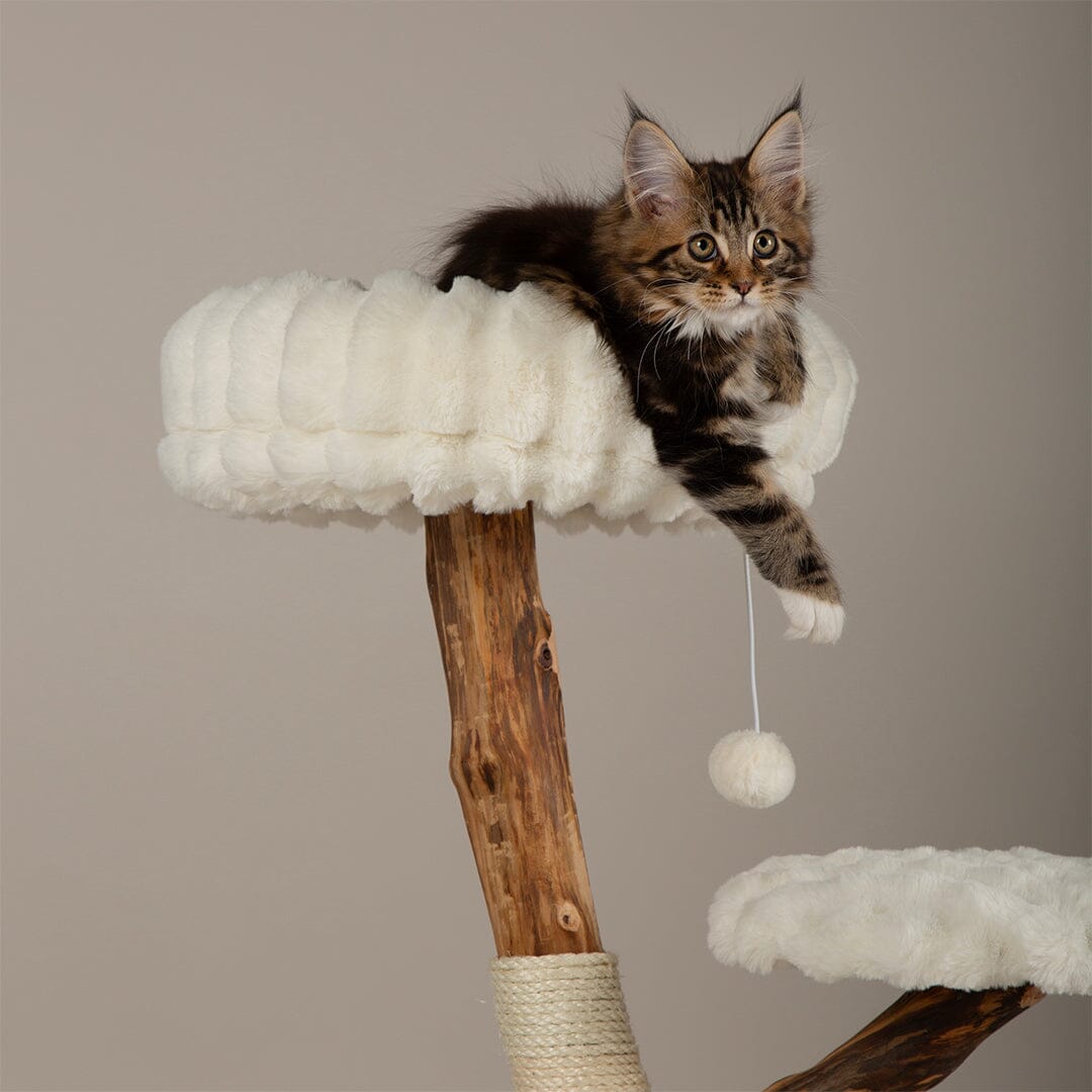 Atlas Cat Scratching Tree - Cream Cat Tree petslovescruffs