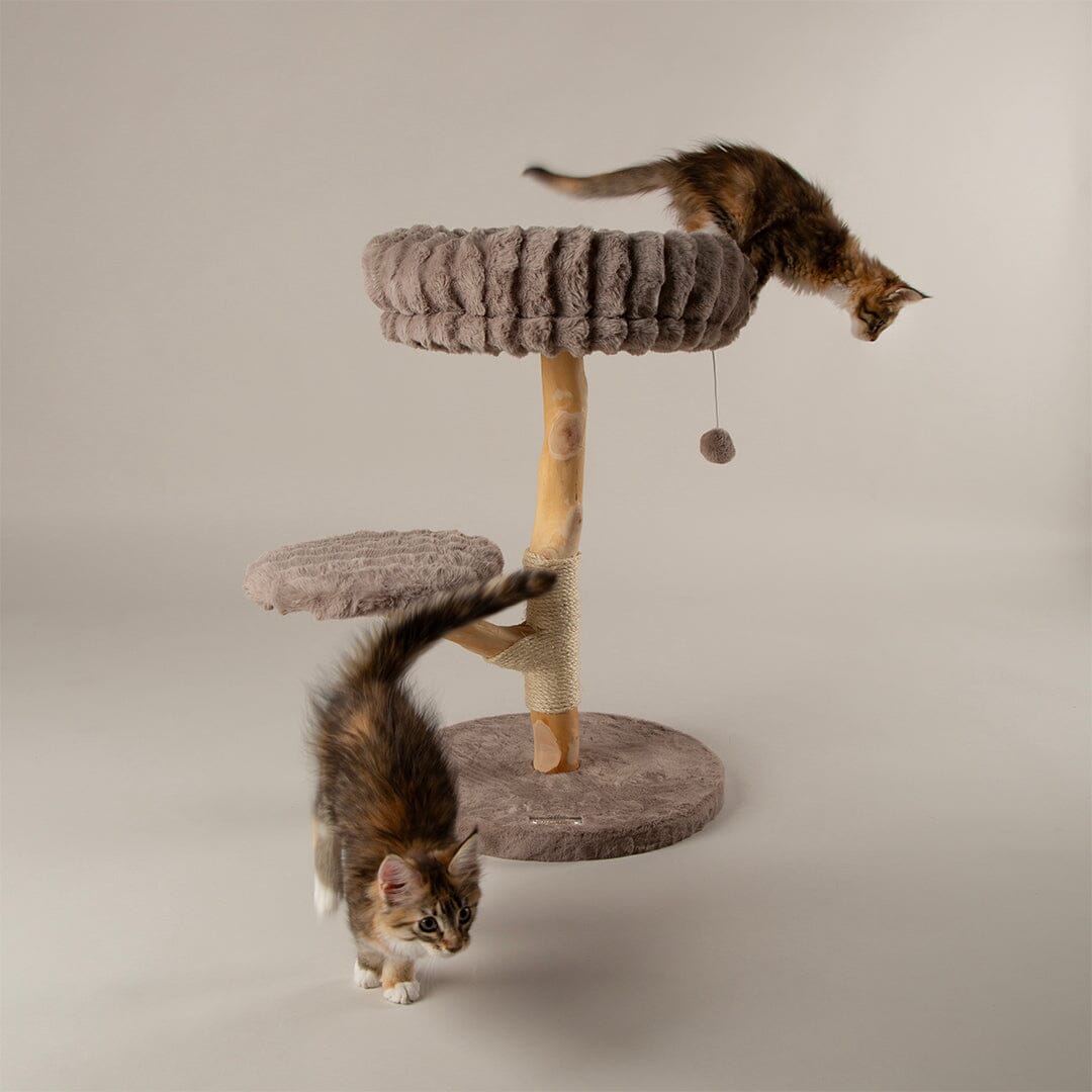 Atlas Cat Scratching Tree - Taupe Cat Tree Scruffs®