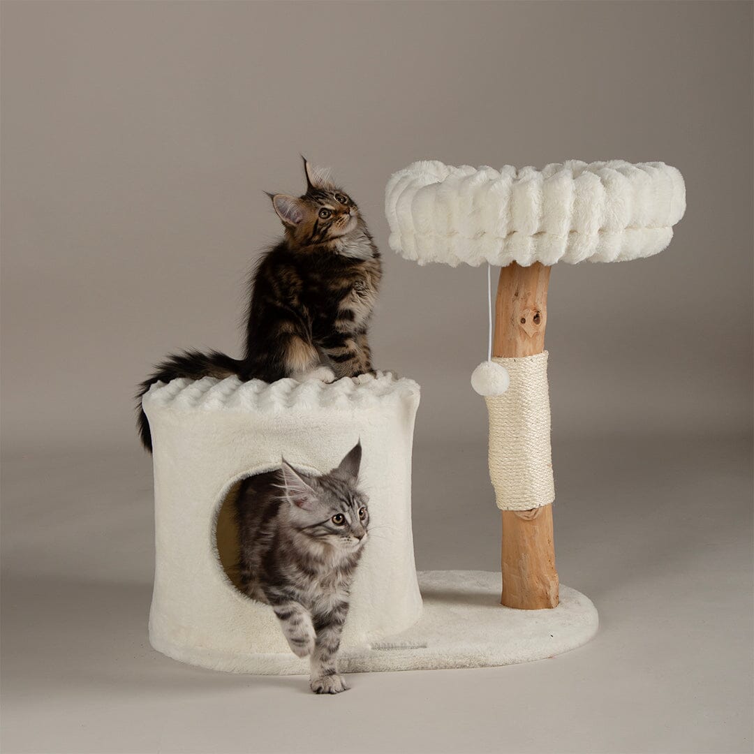 Himalayas Cat Scratching Tree - Cream Cat Tree Scruffs®