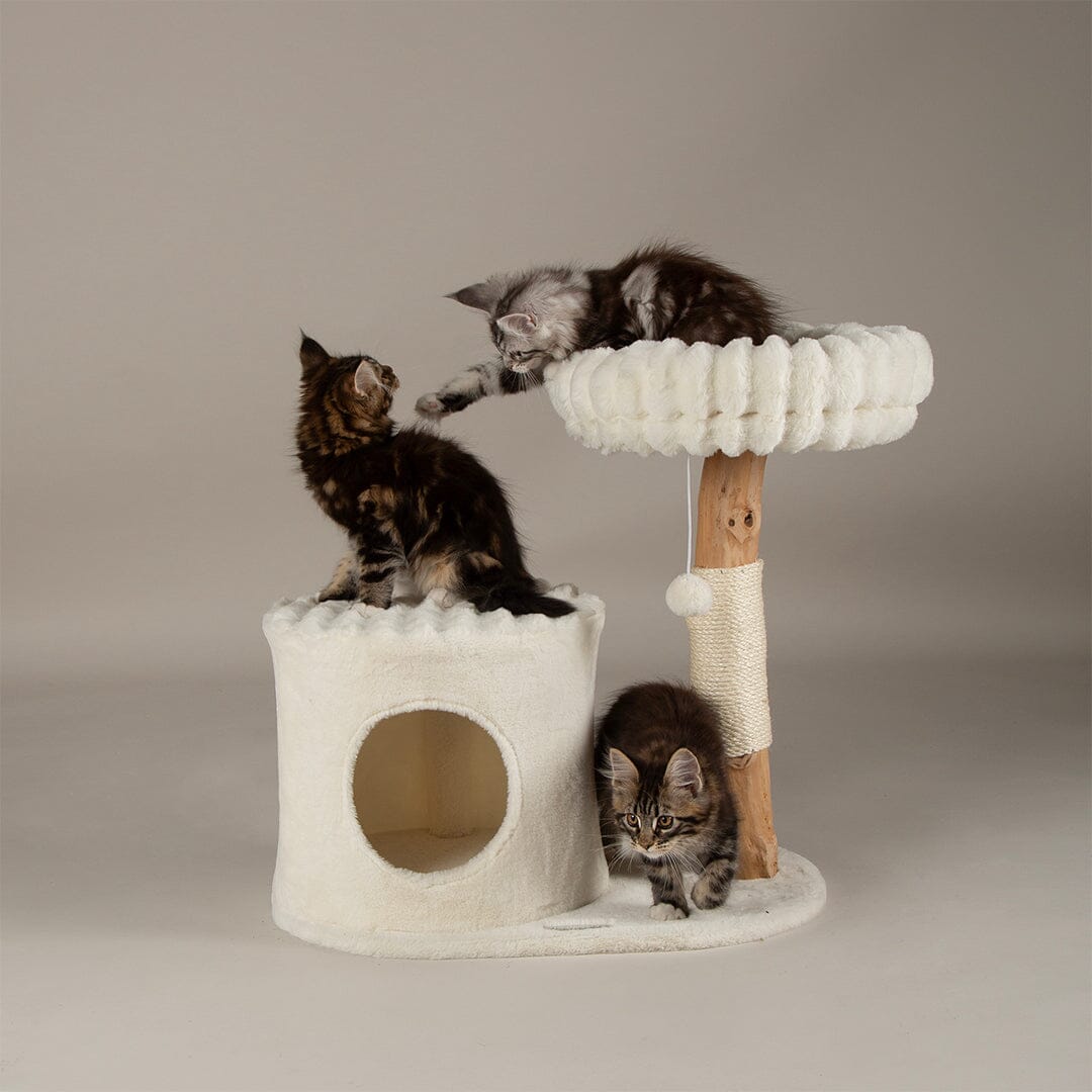 Himalayas Cat Scratching Tree - Cream Cat Tree Scruffs®