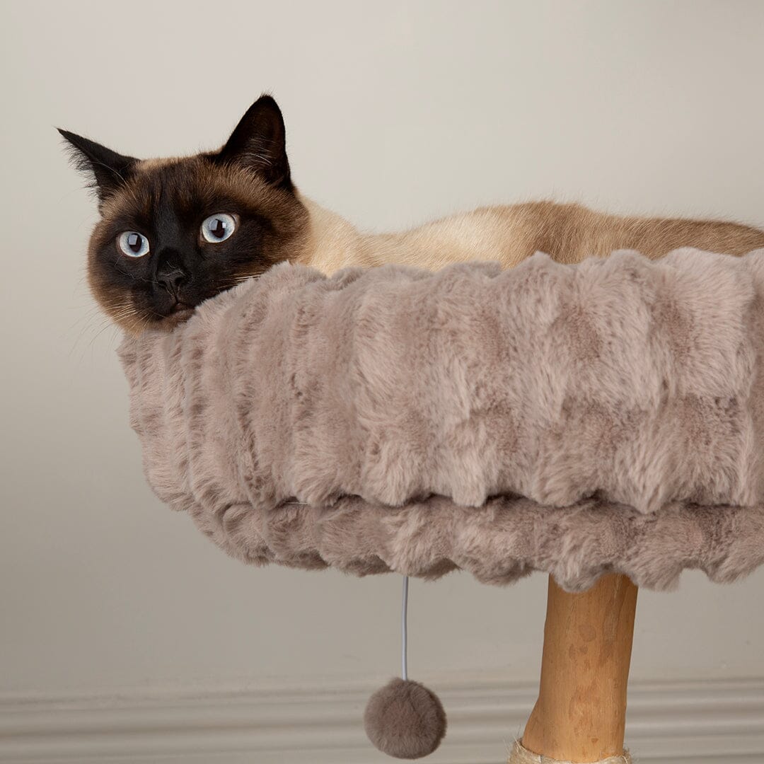 Himalayas Cat Scratching Tree - Taupe Cat Tree Scruffs®