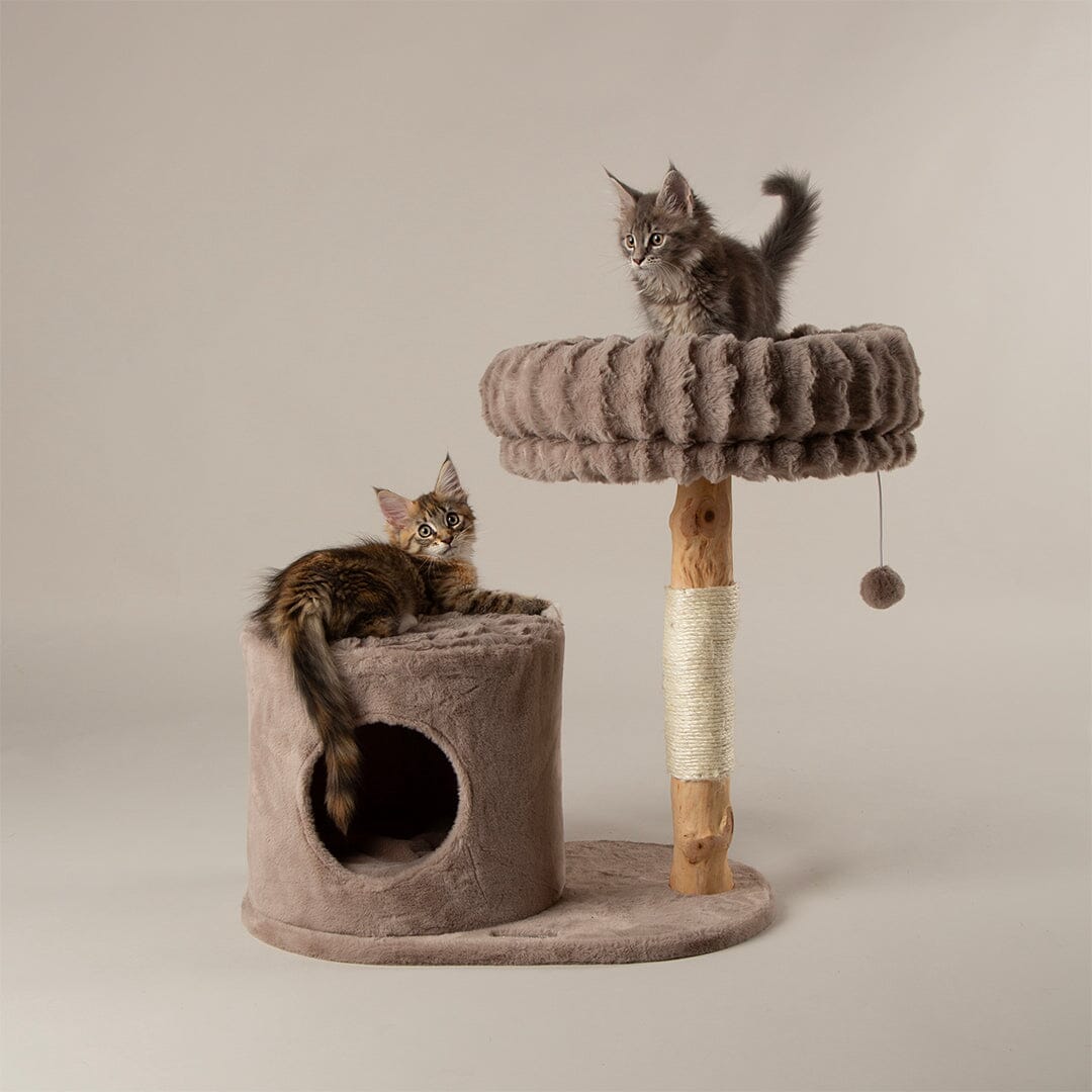 Himalayas Cat Scratching Tree - Taupe Cat Tree Scruffs®
