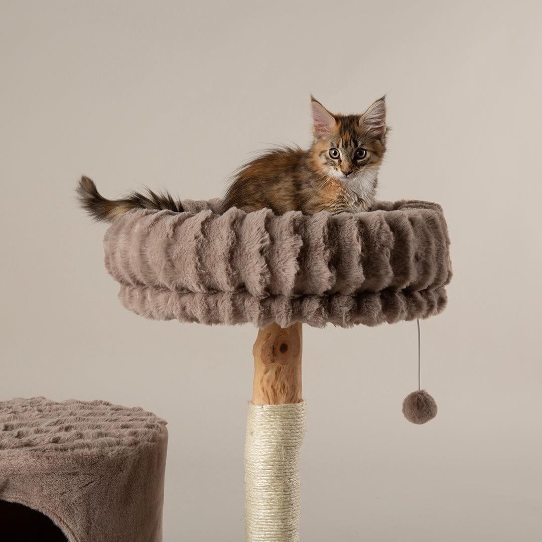 Himalayas Cat Scratching Tree - Taupe Cat Tree Scruffs®