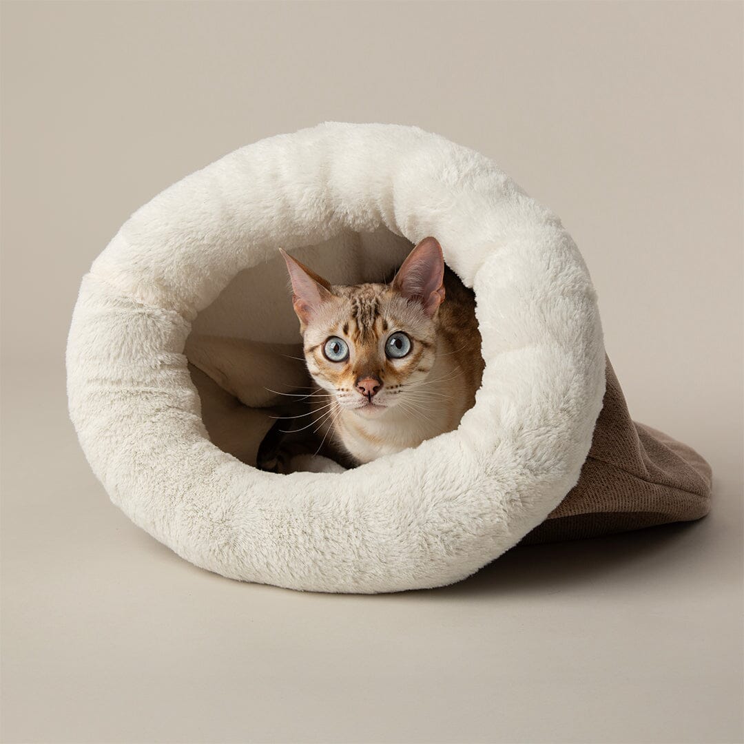 Seattle Crinkle Cat Sleeping Bag - Sienna Brown Cat Bed Scruffs®