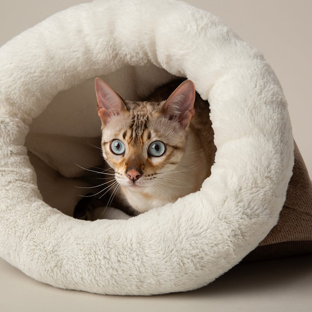 Seattle Crinkle Cat Sleeping Bag - Sienna Brown Cat Bed Scruffs®