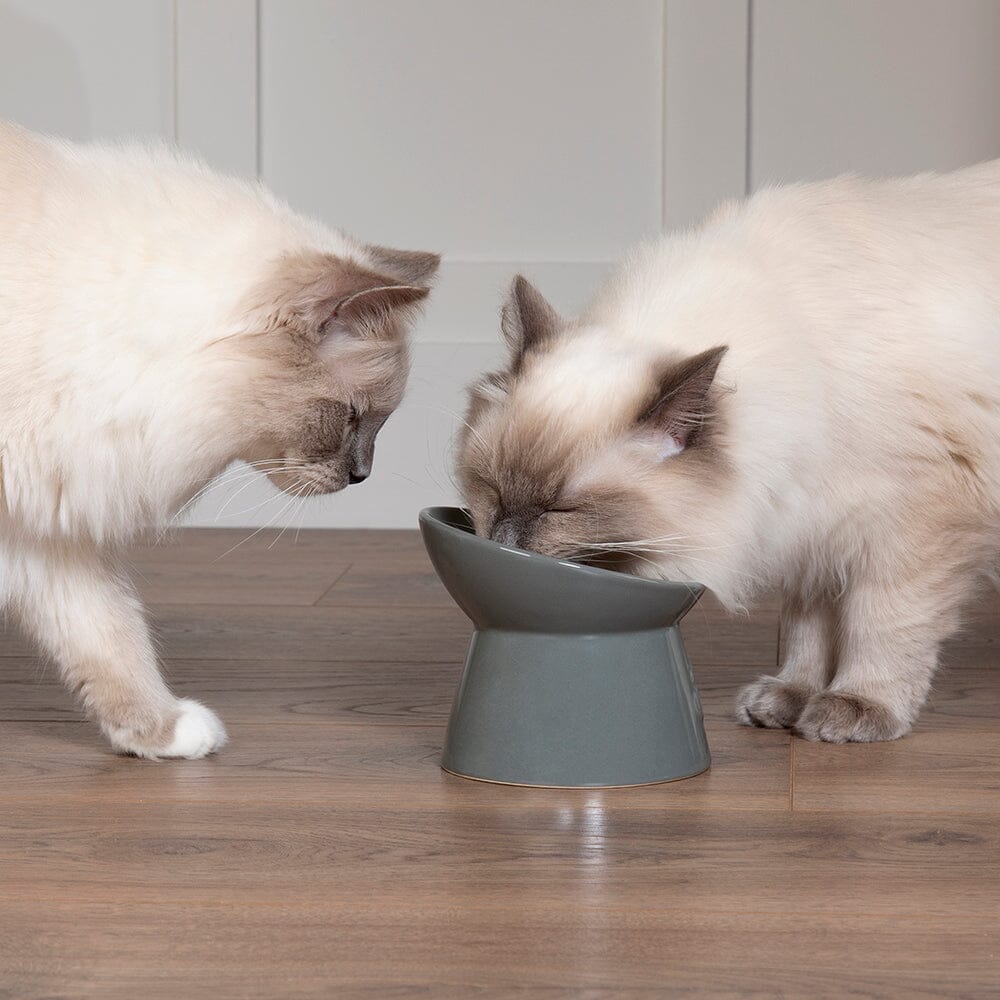 Classic Raised Cat Feeder Bowl & Saucer Set - Grey Pet Bowls, Feeders & Waterers Scruffs®