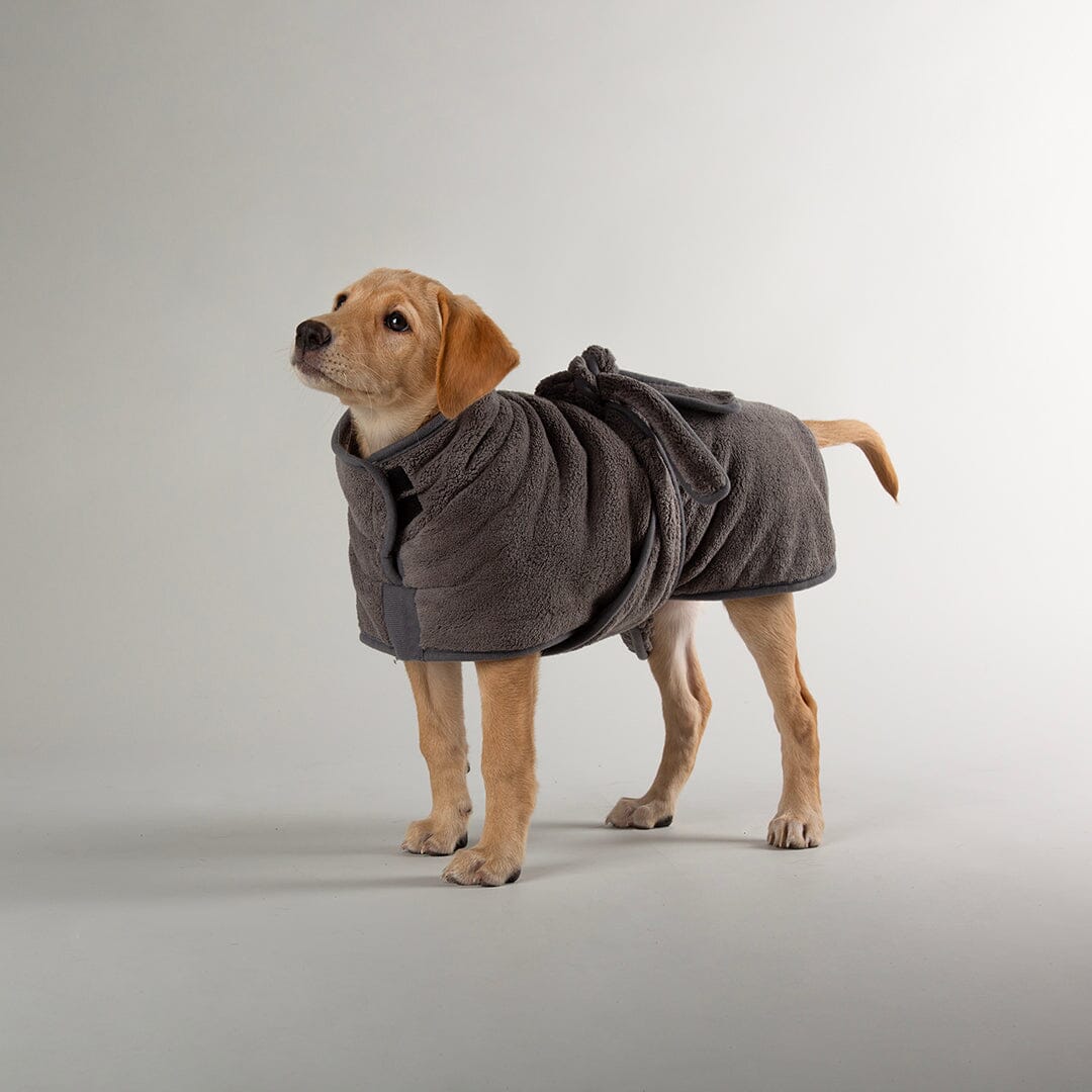Expedition Deluxe Noodle & Microfibre Dog Dry robe in Graphite Grey worn by a labrador puppy