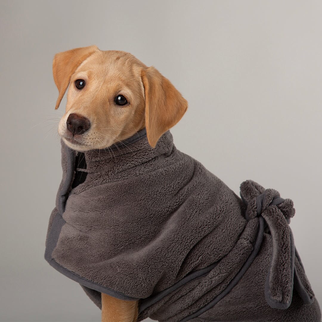 Expedition Deluxe Noodle & Microfibre Dog Dry robe in Graphite Grey worn by a labrador puppy