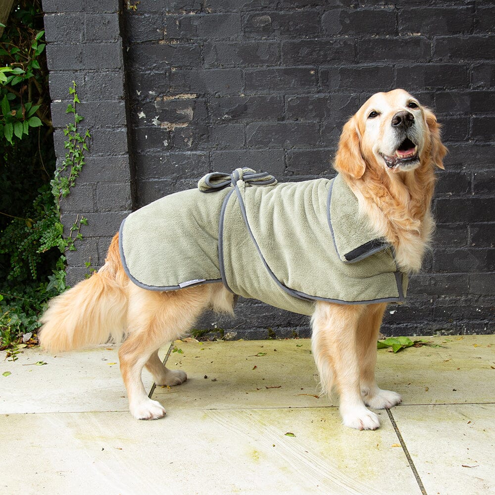 Expedition Deluxe Noodle & Microfibre Dog Dry robe in Khaki Green worn by a golden retriever