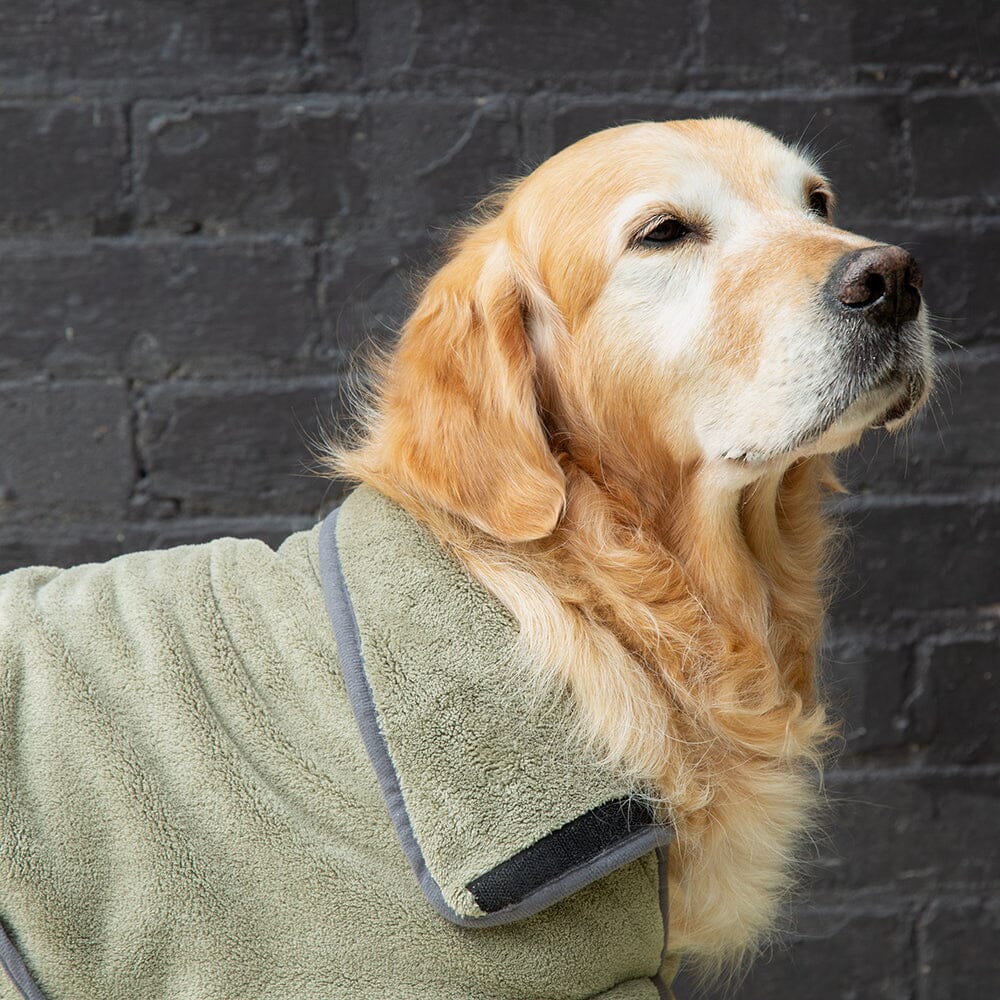 Expedition Deluxe Noodle & Microfibre Dog Dry robe in Khaki Green worn by a golden retriever