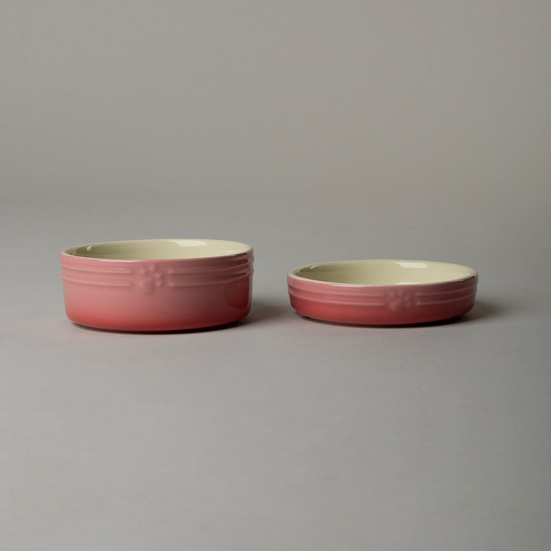 Scruffs Ombre 2 Piece Cat Food Bowl & Saucer Set - Pink