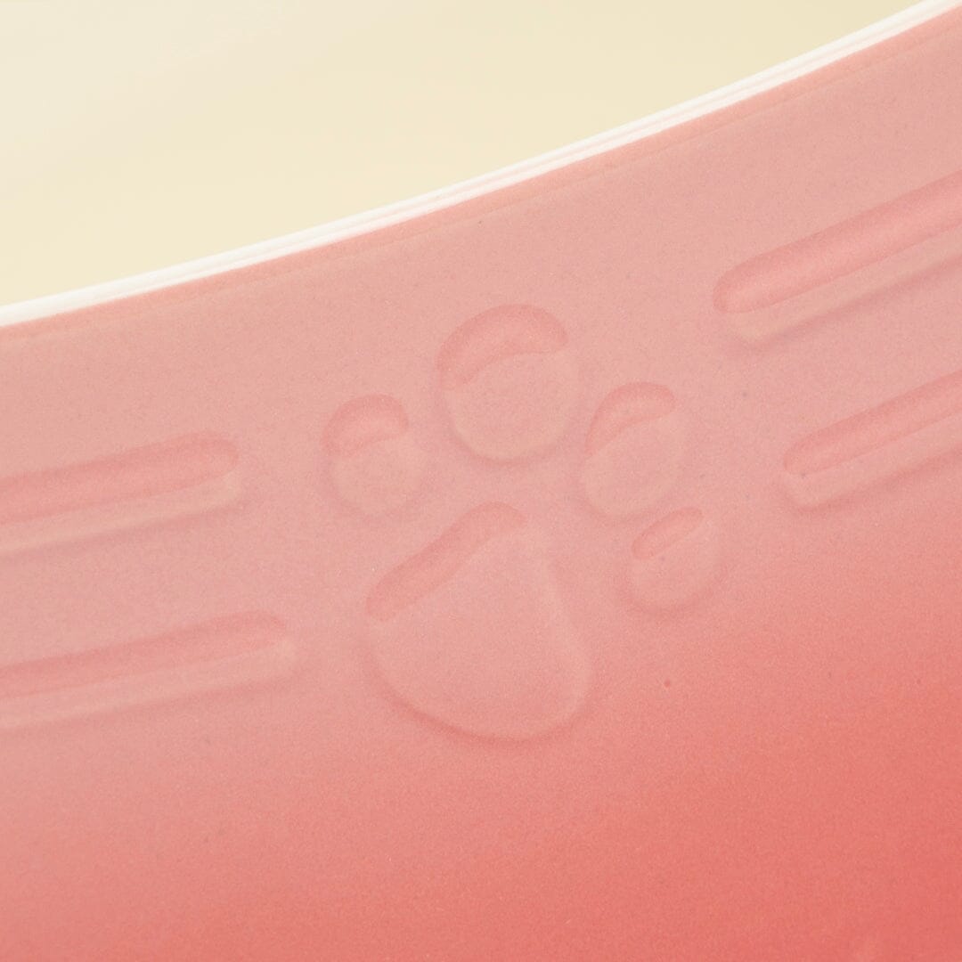 Close up of Scruffs Ombre Pink cat saucer