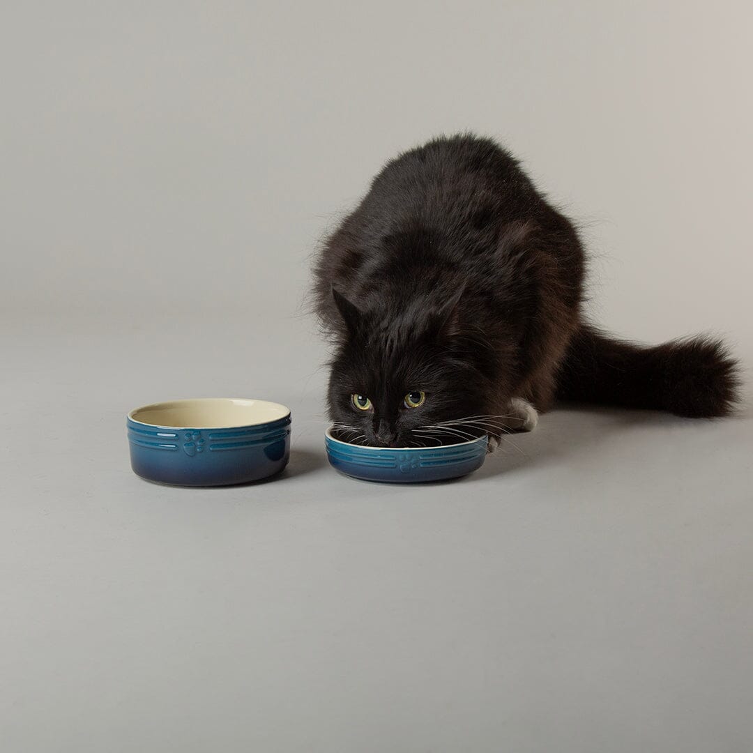 Ombre 2 Piece Cat Food Bowl & Saucer Set in Blue with cat drinking from cat saucer