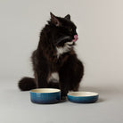 Ombre 2 Piece Cat Food Bowl & Saucer Set in Blue with cat eating from cat bowl