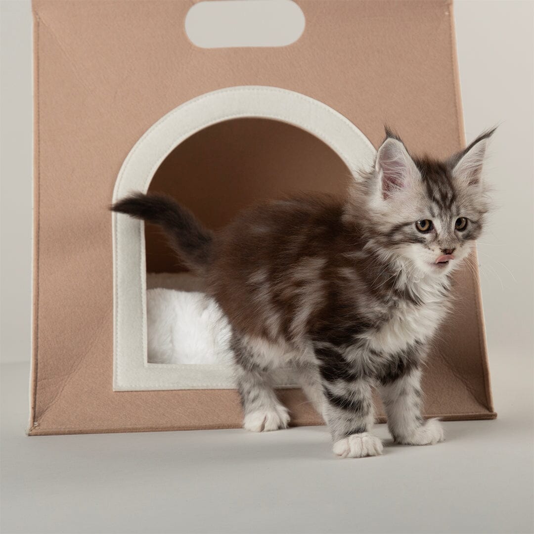 Stockholm Felt Bag Cat Bed - Tan Cat Bed Scruffs®