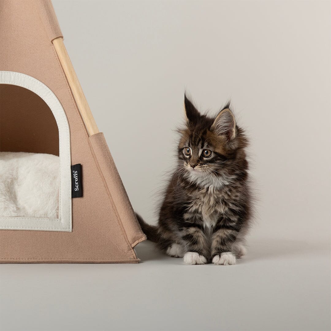 Stockholm Felt TeePee Cat Bed - Tan Cat Bed Scruffs®