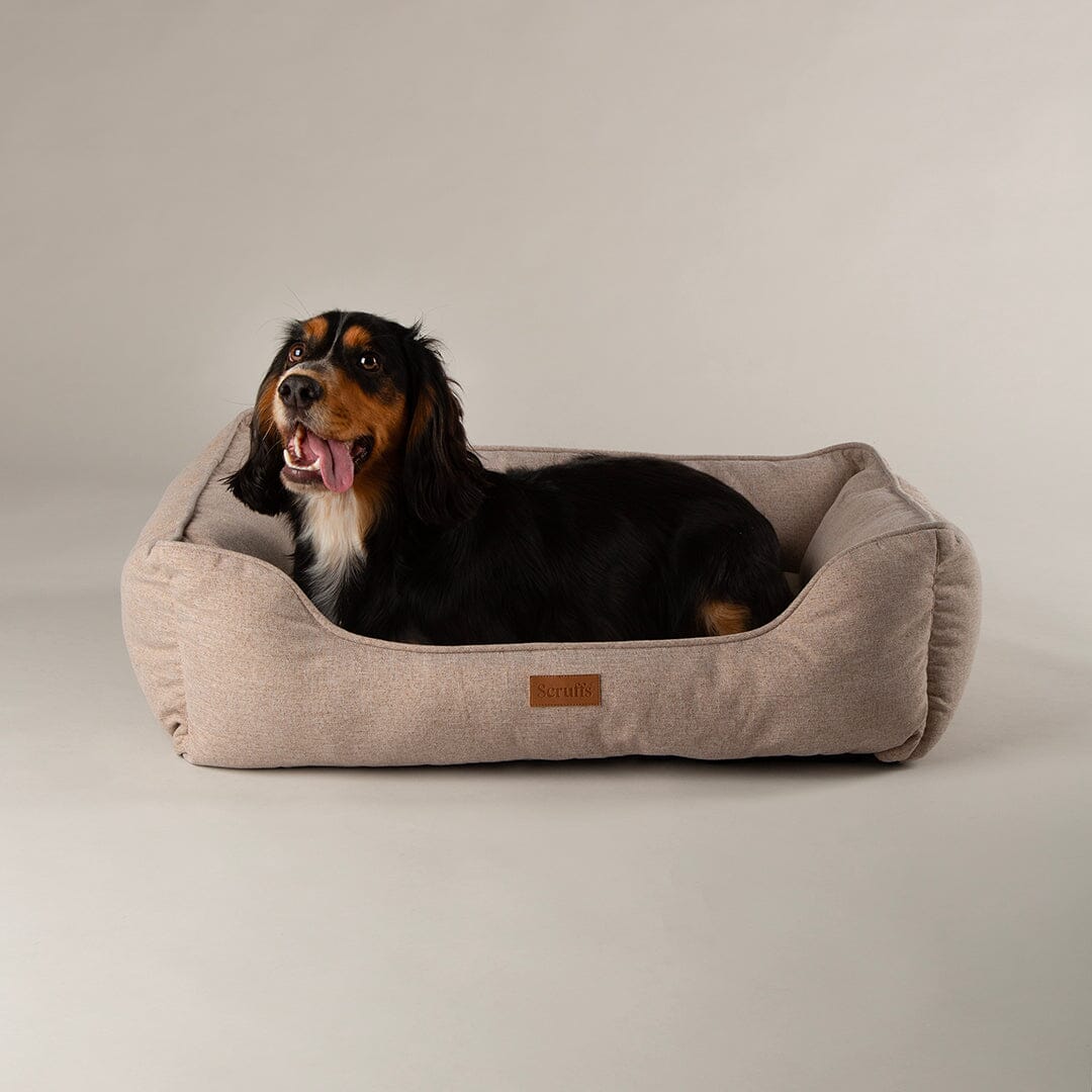 Harmony Box Bed - Tan Dog Beds Scruffs®