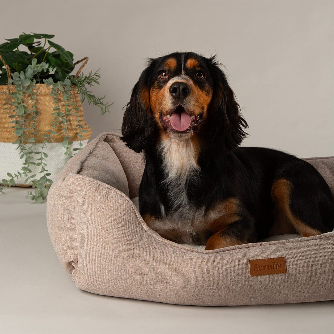 Harmony Box Bed - Tan Dog Beds Scruffs®