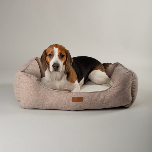 Harmony Dog Box Bed - Tan petslovescruffs