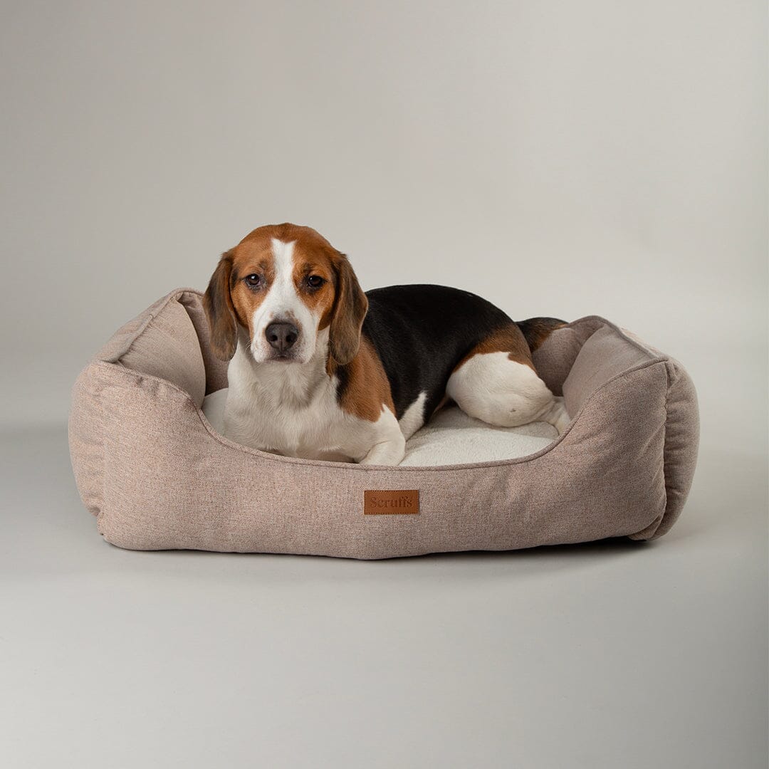 Harmony Dog Box Bed - Tan petslovescruffs