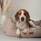 Harmony Dog Box Bed - Tan petslovescruffs