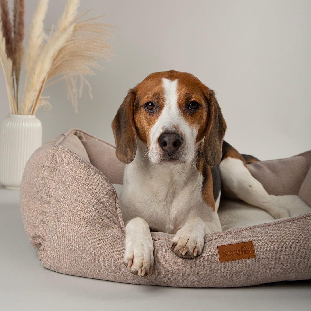Harmony Dog Box Bed - Tan petslovescruffs