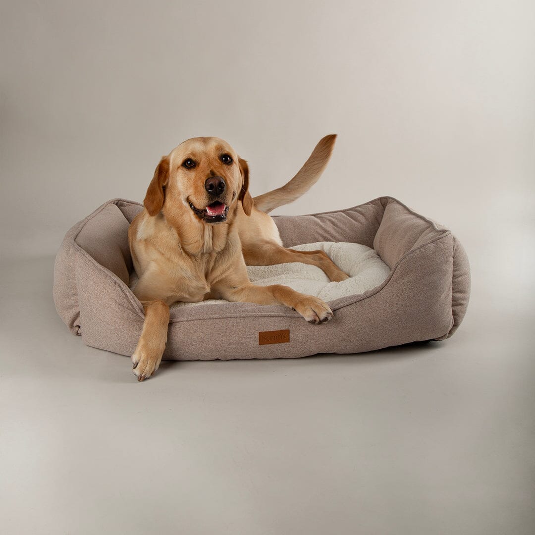 Harmony Box Bed - Tan Dog Beds Scruffs®