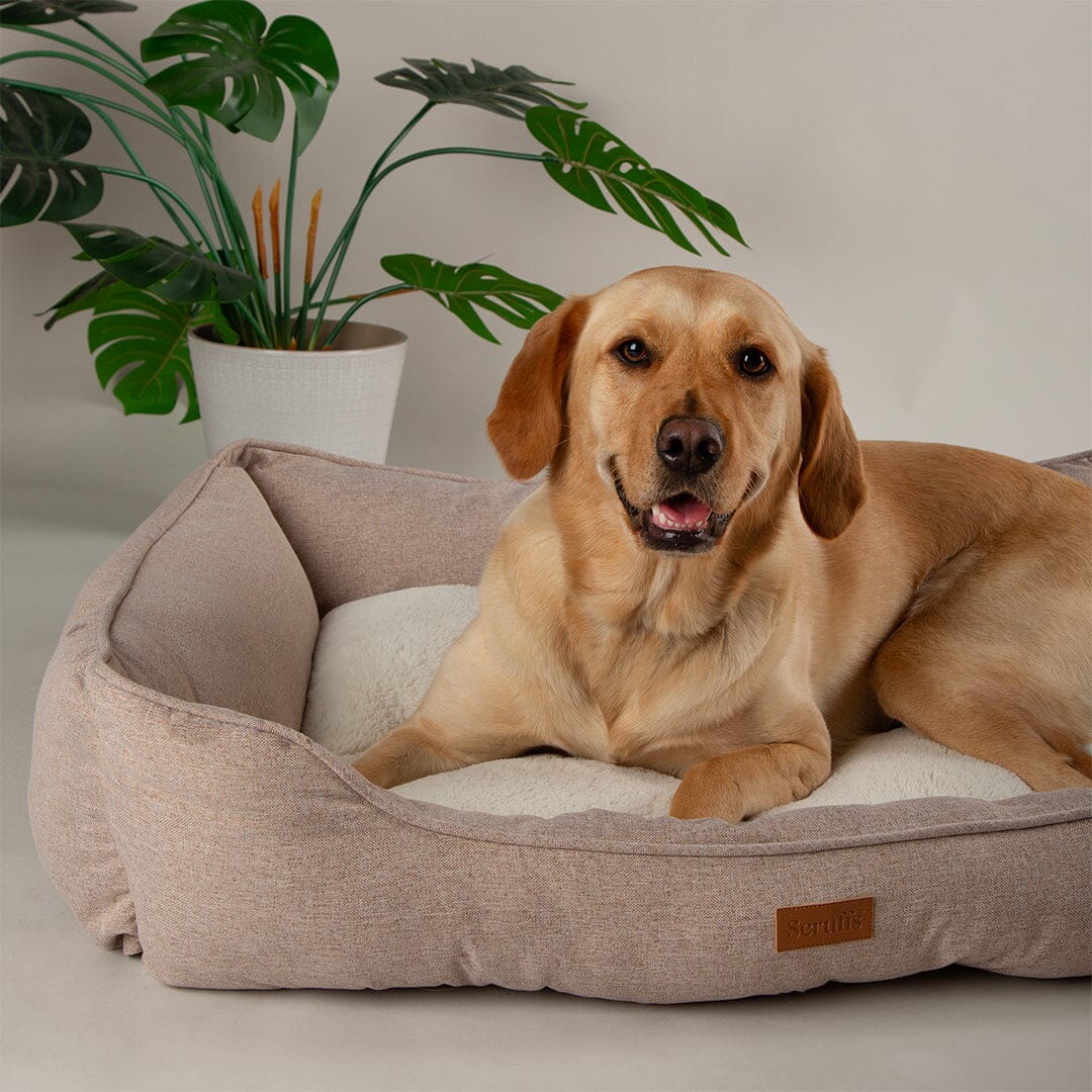 Harmony Box Bed - Tan Dog Beds Scruffs®