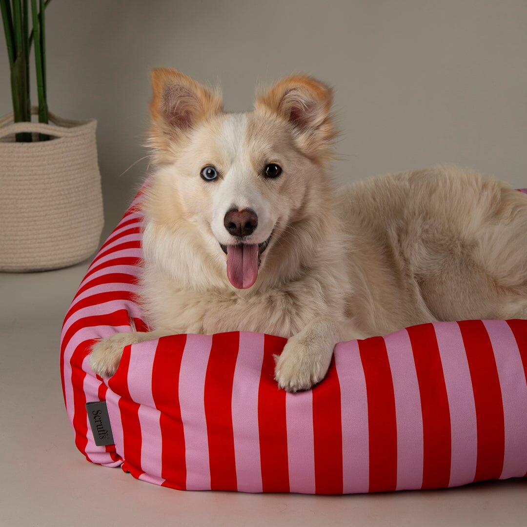 Amalfi Striped Box Bed - Pink Dog Beds Scruffs®