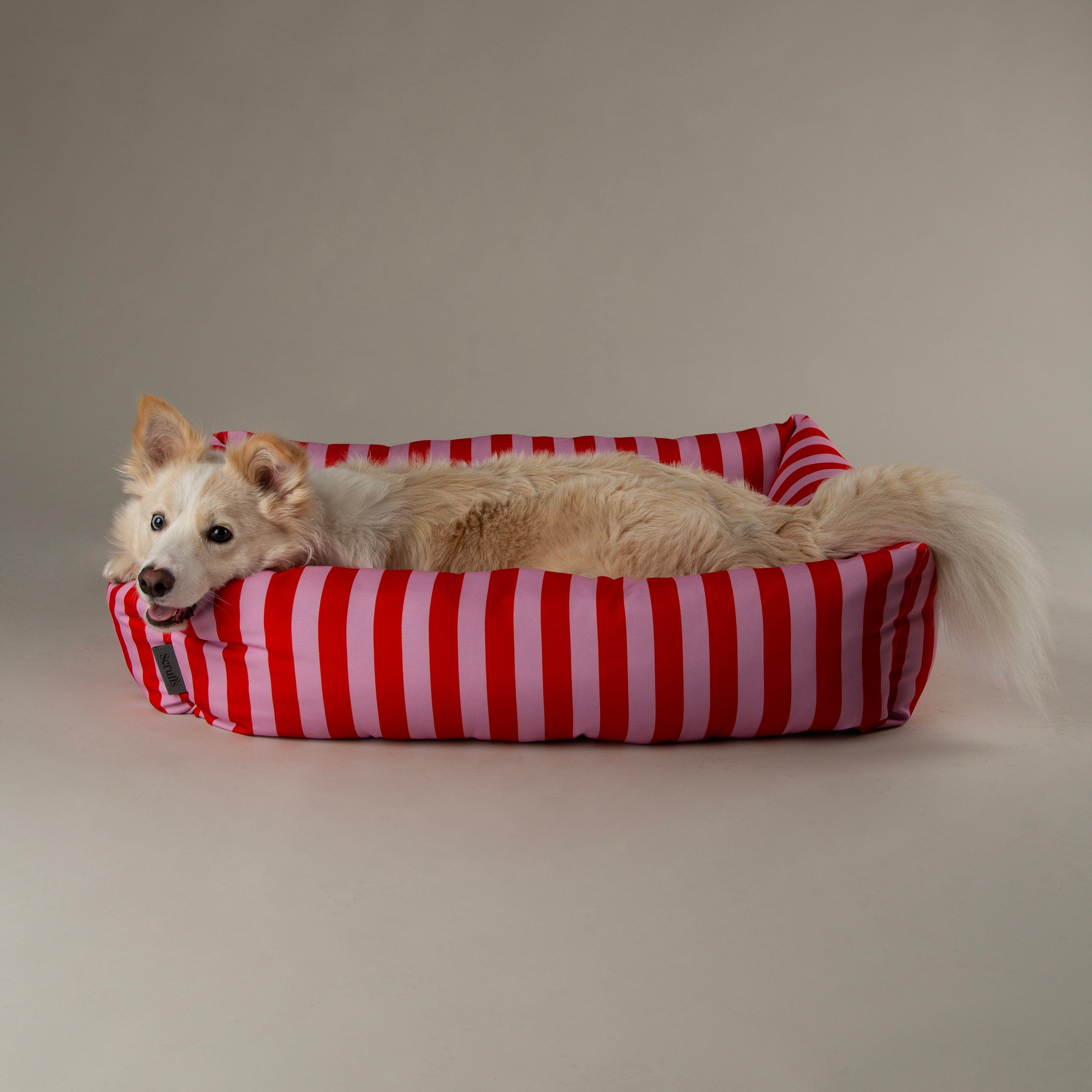 Amalfi Striped Box Bed - Pink Dog Beds Scruffs®