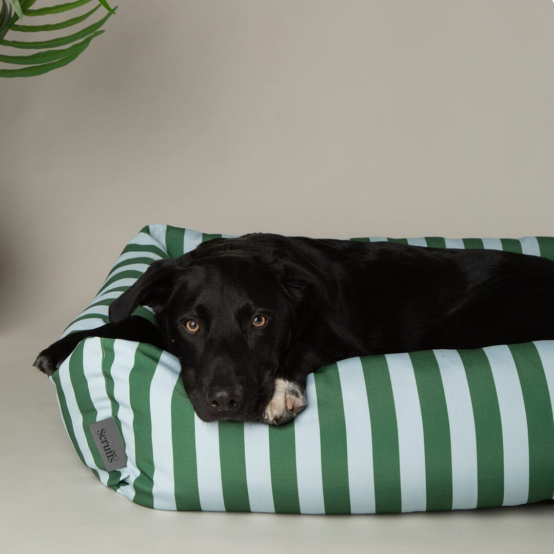 Amalfi Striped Box Bed - Green Dog Beds Scruffs®
