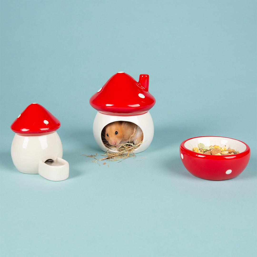 Small Animal Ceramic Set - Toadstool Pet Bowls, Feeders & Waterers Scruffs®