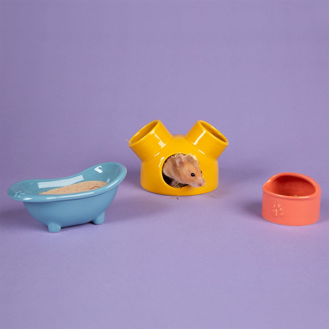 Small Animal Ceramic Set - Colours Pet Bowls, Feeders & Waterers Scruffs®