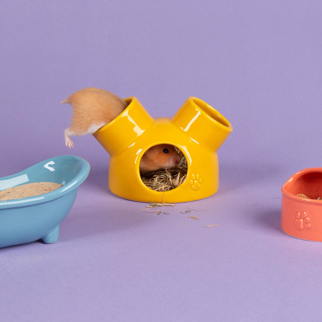 Small Animal Ceramic Set - Colours Pet Bowls, Feeders & Waterers Scruffs®
