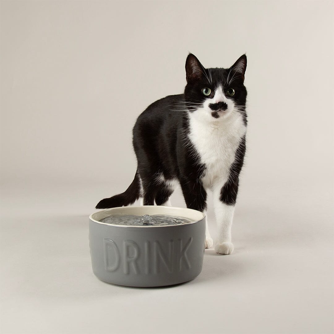 Classic Cat Water Fountain 20cm - Grey Pet Bowls, Feeders & Waterers Scruffs®