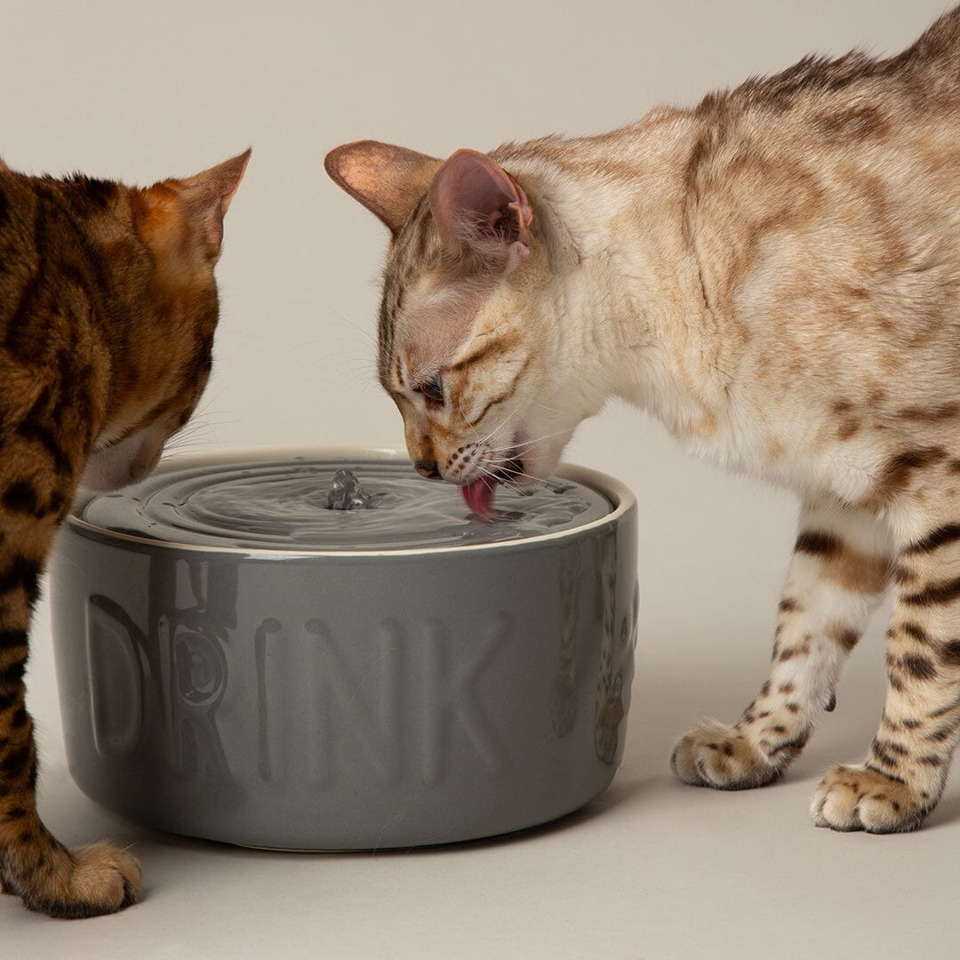 Classic Cat Water Fountain 20cm - Grey Pet Bowls, Feeders & Waterers Scruffs®