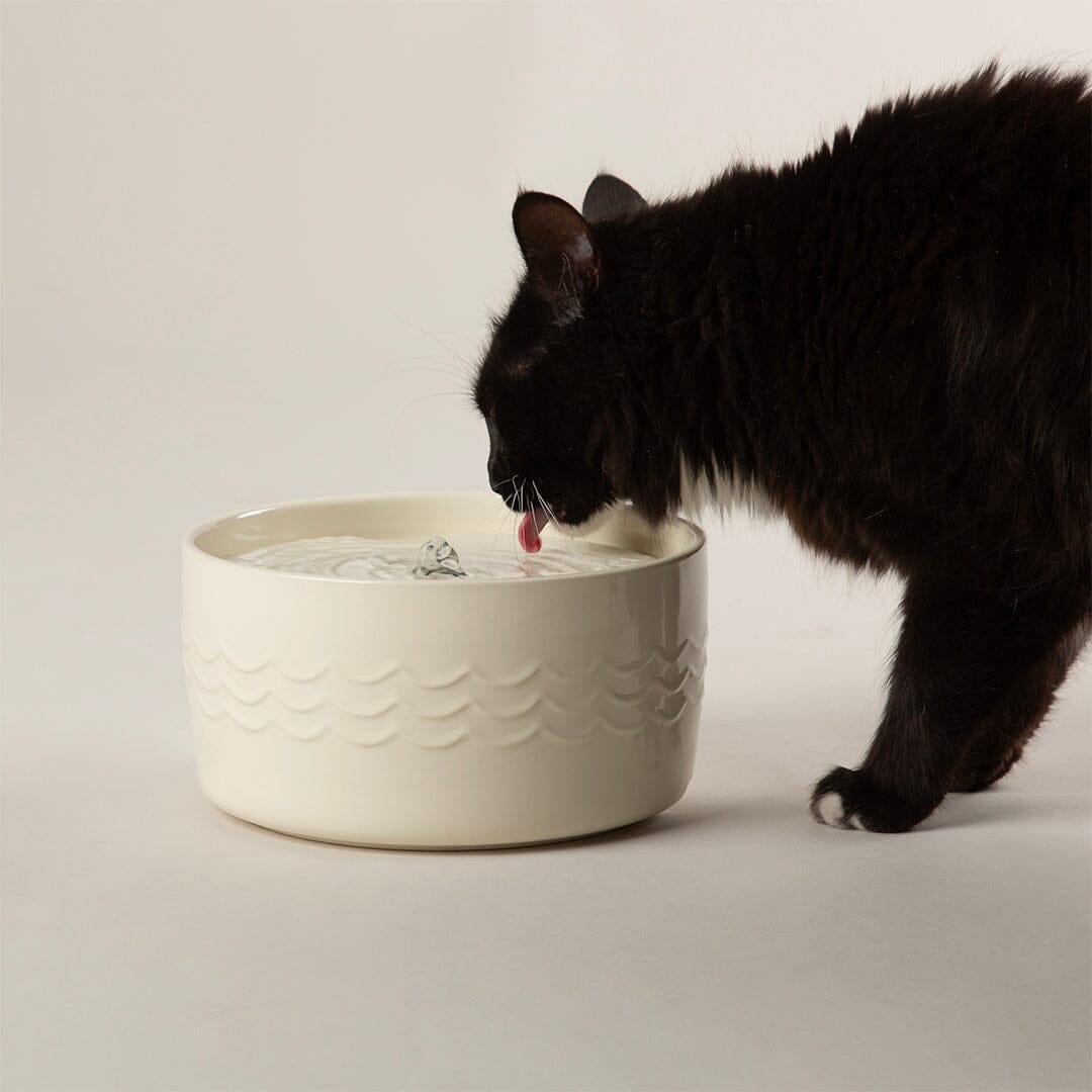 Icon Cat Water Fountain 20cm - Cream Pet Bowls, Feeders & Waterers Scruffs®