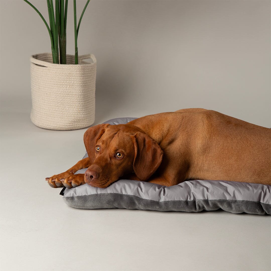 Expedition Reversible Water Resistant Crate Mat Mattress - Storm Grey Dog Crate Mat Scruffs®