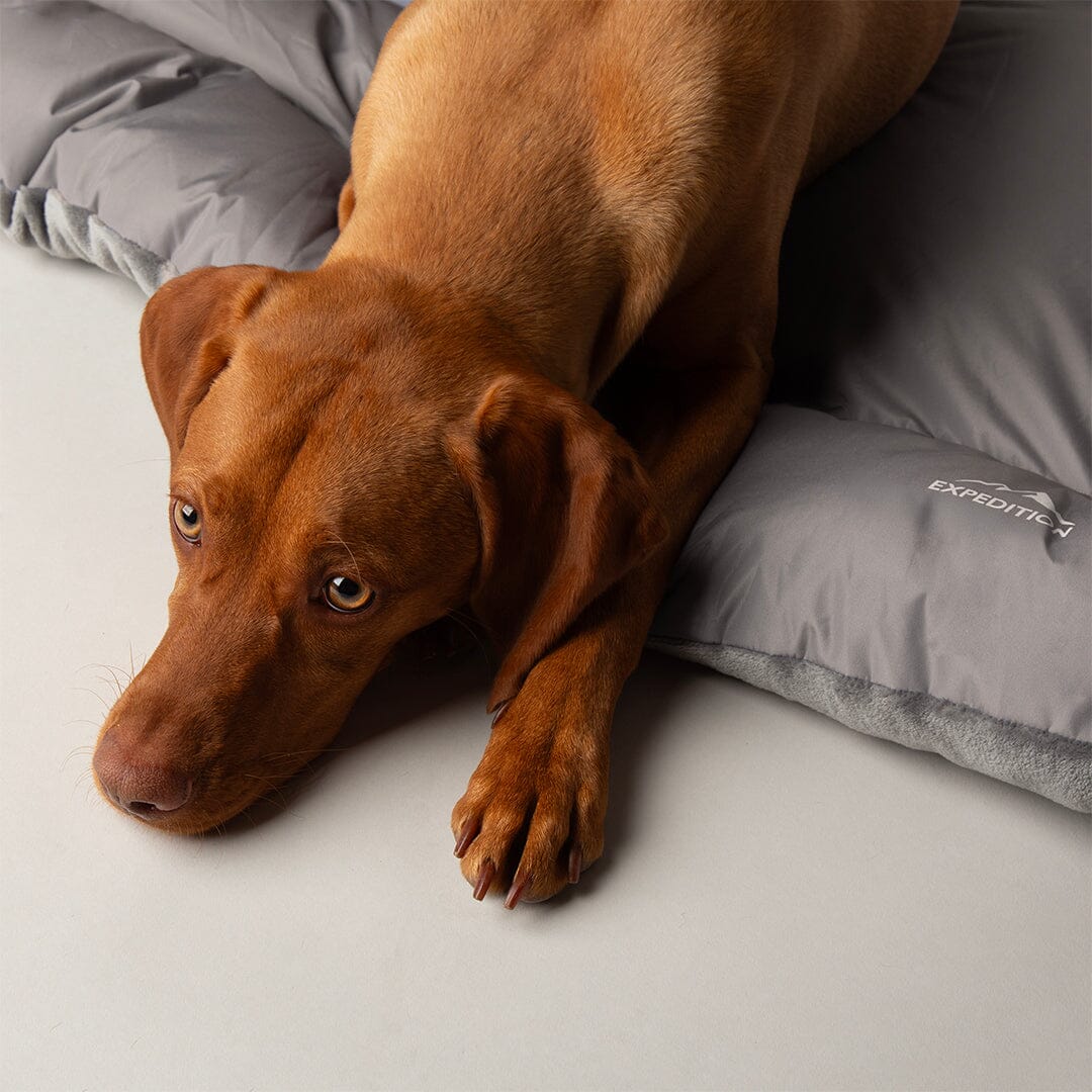 Expedition Reversible Water Resistant Crate Mat Mattress - Storm Grey Dog Crate Mat Scruffs®