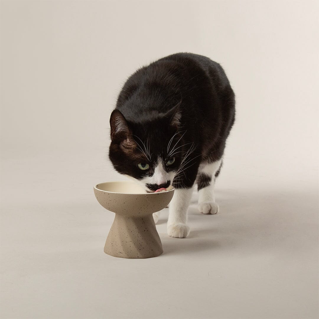 Zen 2 Piece Cat Raised Cat Feeder & Saucer Set - Brown Pet Bowls, Feeders & Waterers Scruffs®