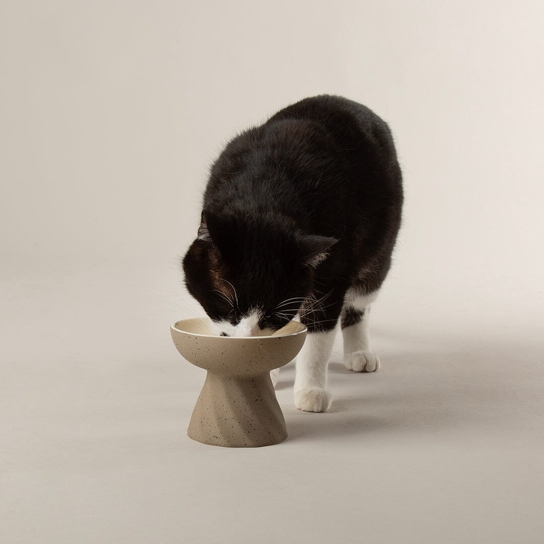 Zen 2 Piece Cat Raised Cat Feeder & Saucer Set - Brown Pet Bowls, Feeders & Waterers Scruffs®