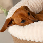 Ellen Donut Bed - Tan Dog Bed Scruffs®